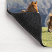 Mare with Foal, Shetland Islands, Schottland Mousepad (Ecke)