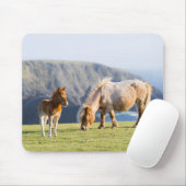 Mare with Foal, Shetland Islands, Schottland Mousepad (Mit Mouse)