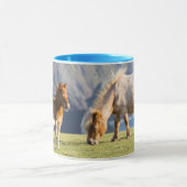 Mare with Foal, Shetland Islands, Schottland Tasse (Zentrum)