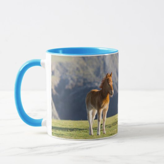 Mare with Foal, Shetland Islands, Schottland Tasse (Links)