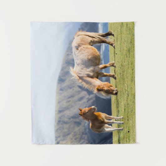 Mare with Foal, Shetland Islands, Schottland Wandteppich (Vorderseite)