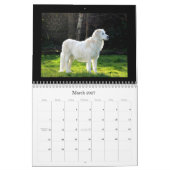 Maremma Kalender 2020 (Mär 2027)