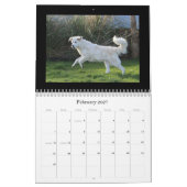 Maremma Kalender 2020 (Feb 2027)