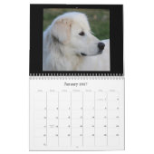 Maremma Kalender 2020 (Jan 2027)