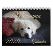 Maremma Kalender 2020 (Titelbild)