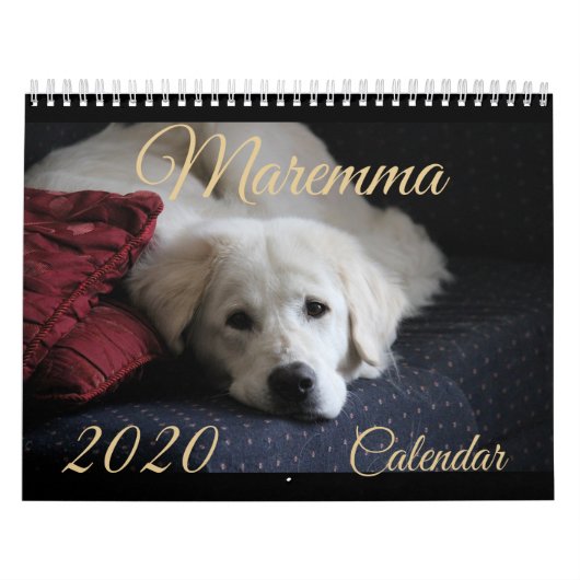 Maremma Kalender 2020 (Titelbild)