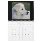 Maremma Kalender 2020 (Jan 2026)