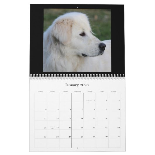 Maremma Kalender 2020 (Jan 2026)