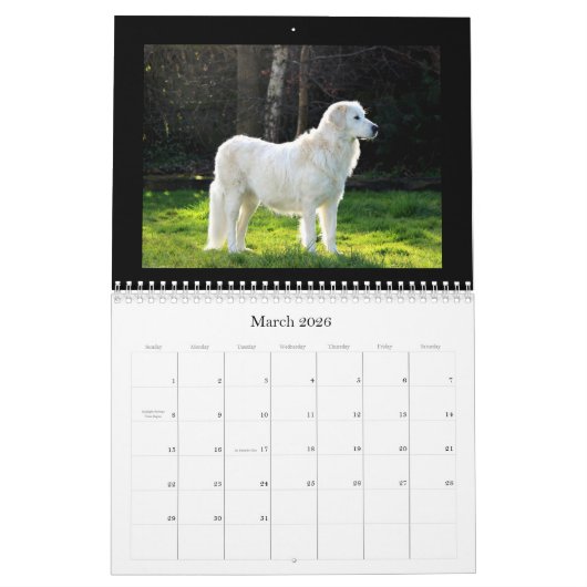 Maremma Kalender 2020 (Mär 2026)