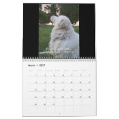 Maremma Schäferhund-Kalender Kalender (Mär 2027)
