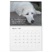 Maremma Schäferhund-Kalender Kalender (Feb 2027)