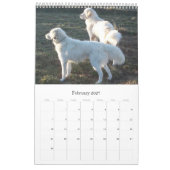 Maremma Schäferhund-Kalender Kalender (Feb 2027)