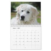 Maremma sheepdog 2022 SmallCalendar, White Kalender (Mär 2027)