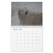 Maremma sheepdog 2022 SmallCalendar, White Kalender (Feb 2027)