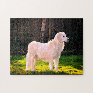 Maremma Sheepdog Beauty Puzzle