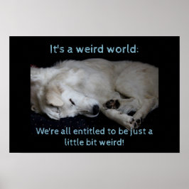 Maremma sheepdog bizarre Welt Poster