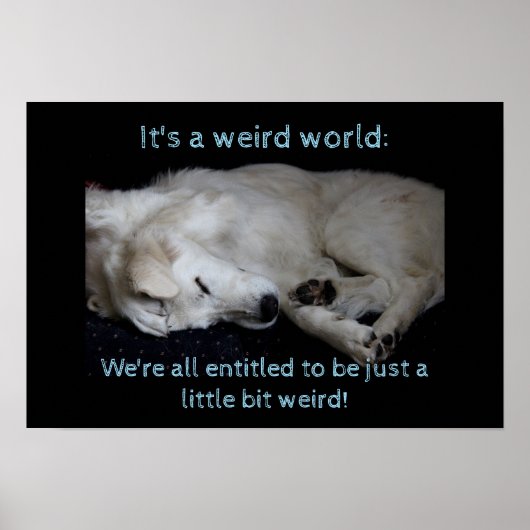 Maremma sheepdog bizarre Welt Poster (Vorne)