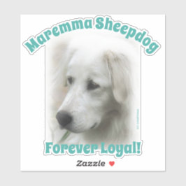 Maremma sheepdog Forever Loyal transparente Aufkle Aufkleber