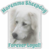 Maremma sheepdog Forever Loyal transparente Aufkle Aufkleber (Vorderseite)