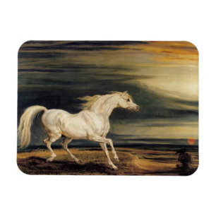 Marengo das Weiße Pferd Magnet