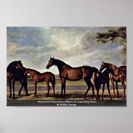 Mares and Foals ängstlich vor einem drohenden Stur Poster (Vorne)
