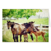 Mares und Foals (Vorderseite (Horizontal))