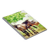Mares und Foals Notizblock (Rechte Seite)