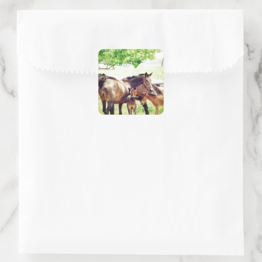 Mares und Foals Quadratischer Aufkleber (Tasche)