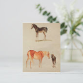 Mares und Fohlen Postkarte (Stehend Vorderseite)