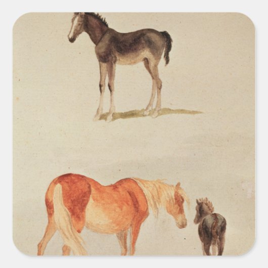 Mares und Fohlen Quadratischer Aufkleber (Vorderseite)