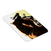 Mares und Foul Pferde Magnet (Rechte Seite)