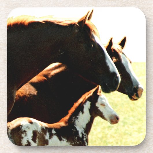 Mares und Foul Pferde Untersetzer (Vorderseite)