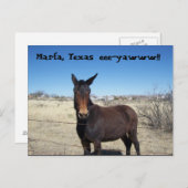 Marfa, Texas, eee-yawww!!! Postkarte (Vorne/Hinten)