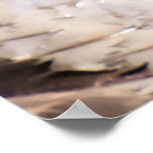 Marganser Duck Poster (Ecke)