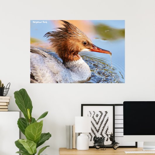 Marganser Duck Poster (Heimbüro)