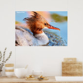 Marganser Duck Poster (Küche)