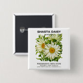Margarite Vintage-Samenpackung Button (Vorne & Hinten)