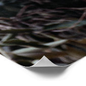 Margay (Felis wiedi) in Baum Poster (Ecke)