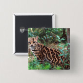Margay, Leopardus wiedi, Ureinwohner von Mexiko na Button (Vorne & Hinten)