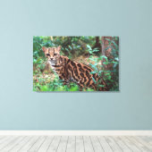 Margay, Leopardus wiedi, Ureinwohner von Mexiko na Leinwanddruck (Insitu (Holzboden))