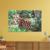 Margay, Leopardus wiedi, Ureinwohner von Mexiko na Leinwanddruck (Insitu (Wohnzimmer))