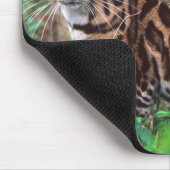 Margay, Leopardus wiedi, Ureinwohner von Mexiko na Mousepad (Ecke)
