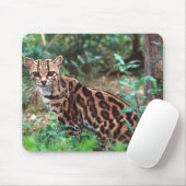 Margay, Leopardus wiedi, Ureinwohner von Mexiko na Mousepad (Mit Mouse)