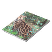 Margay, Leopardus wiedi, Ureinwohner von Mexiko na Notizblock (Rotiert)