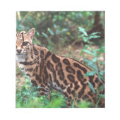 Margay, Leopardus wiedi, Ureinwohner von Mexiko na Notizblock (Vorderseite)