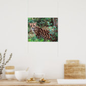 Margay, Leopardus wiedi, Ureinwohner von Mexiko na Poster (Küche)