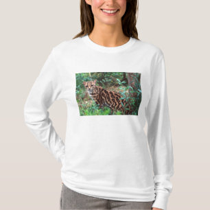 Margay, Leopardus wiedi, Ureinwohner von Mexiko na T-Shirt
