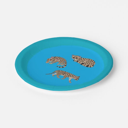 Margays Pappteller (Schrägansicht)