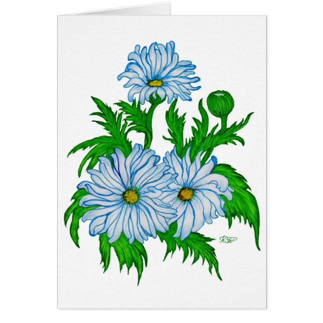 Margeriten Blume (Vorne)