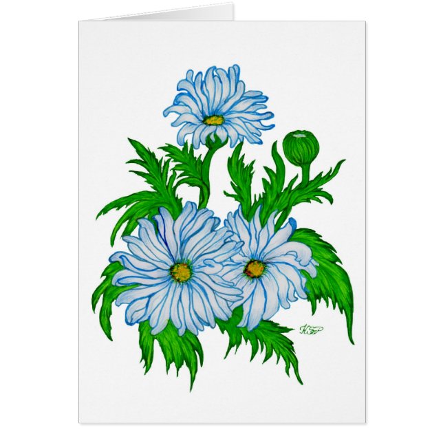 Margeriten Blume (Vorne)